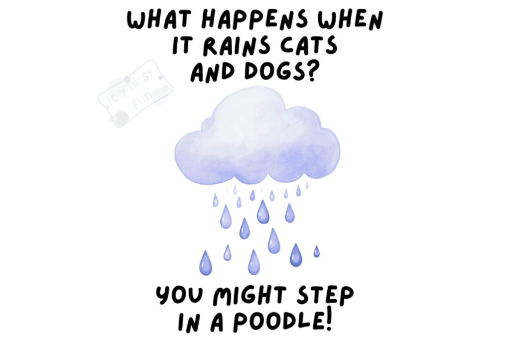 Rain puns