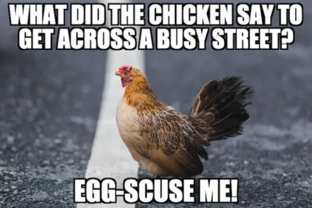 Hen Puns That Will Egg-xhaust You With Laughter 