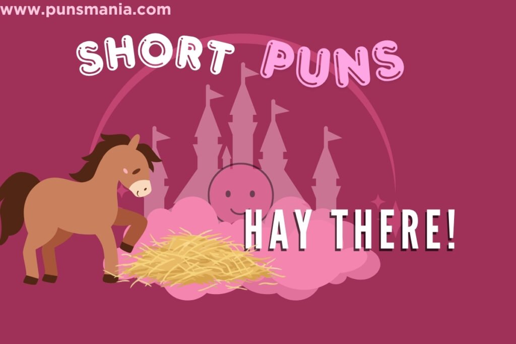 Horse Short Puns 