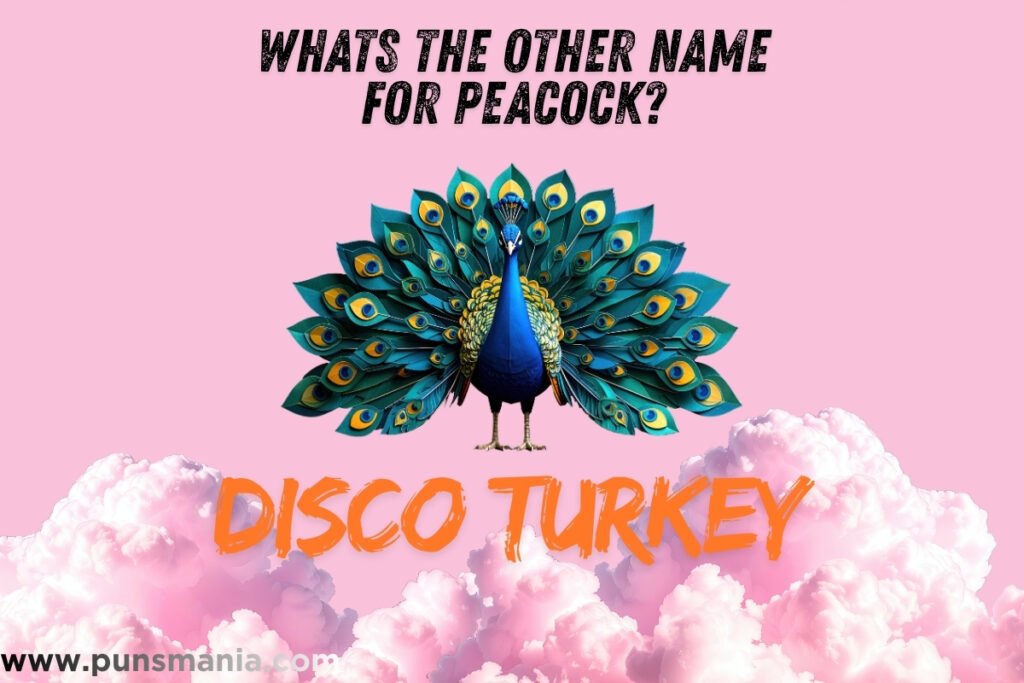 peacock joke