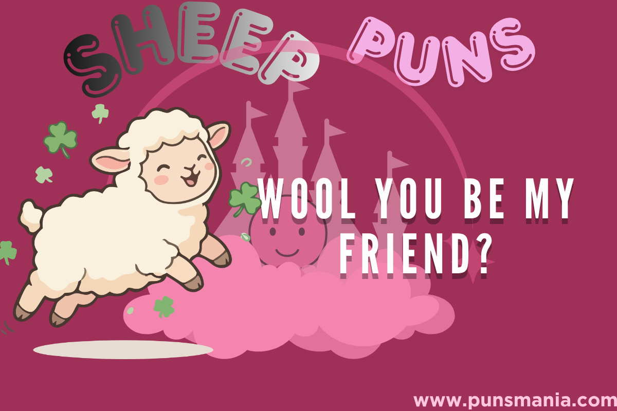 Sheep puns