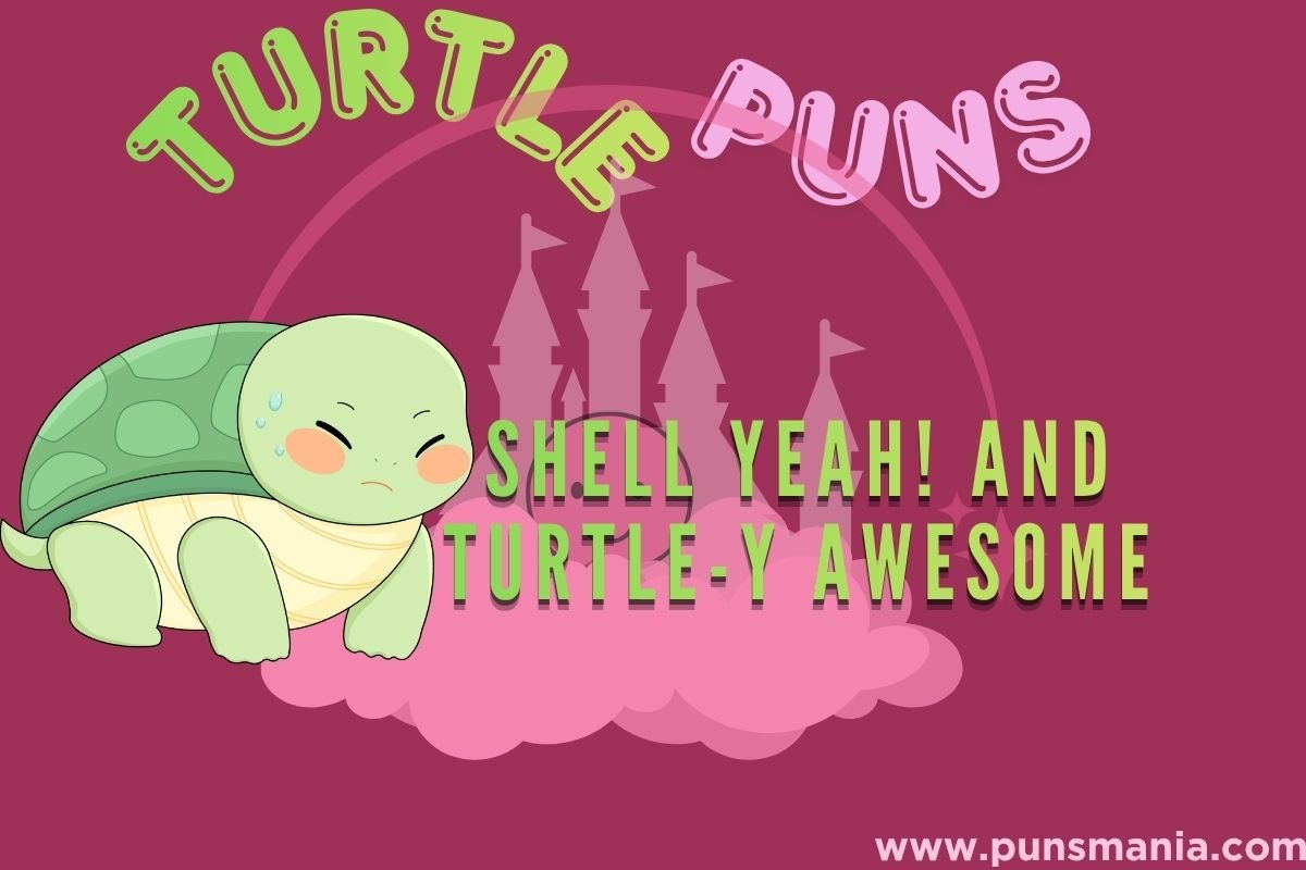 Turtle Puns