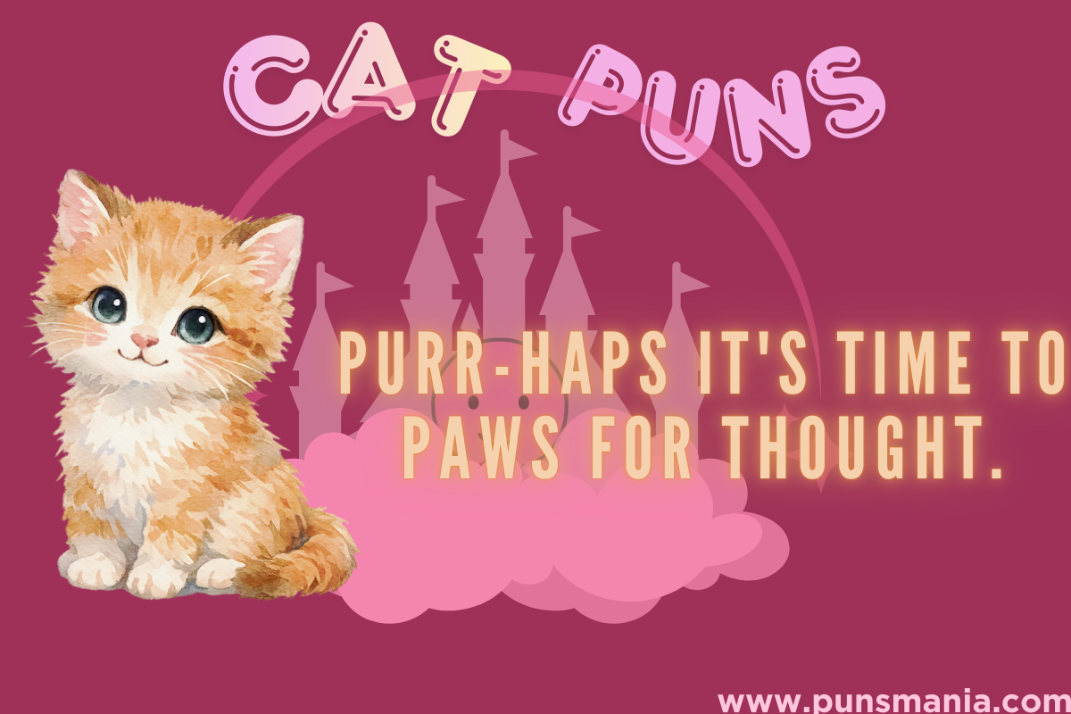 Cat Puns