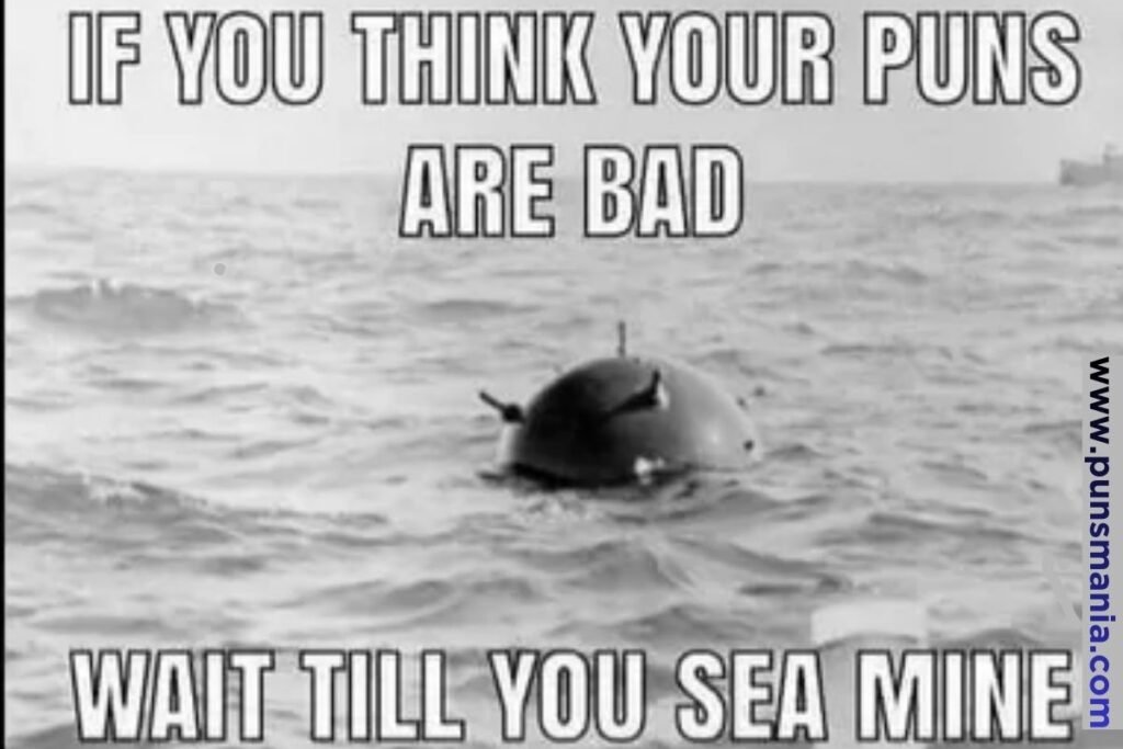 Best Sea Puns