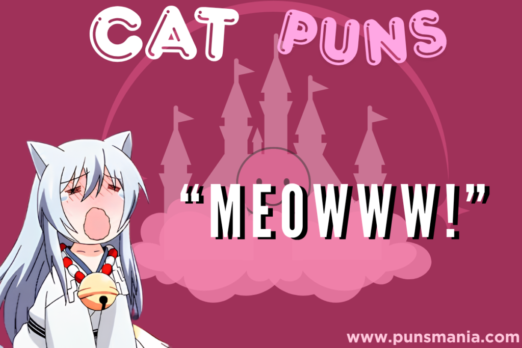 Cat Puns 