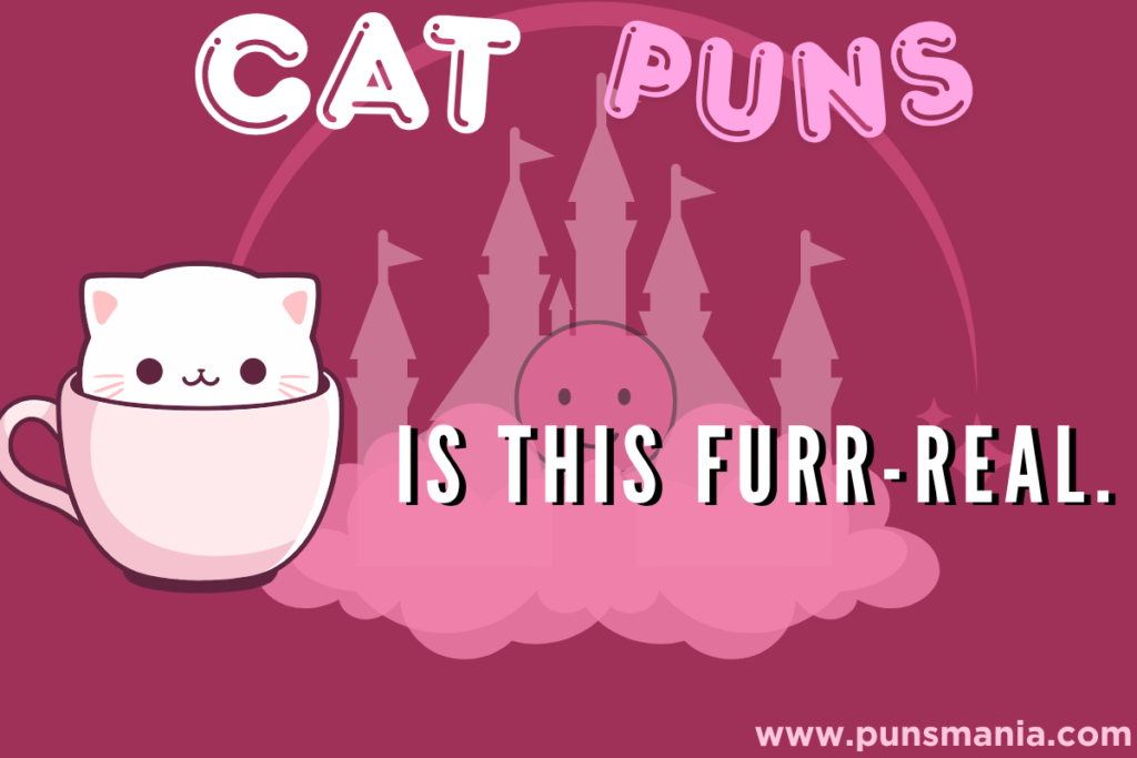 Cat Puns 