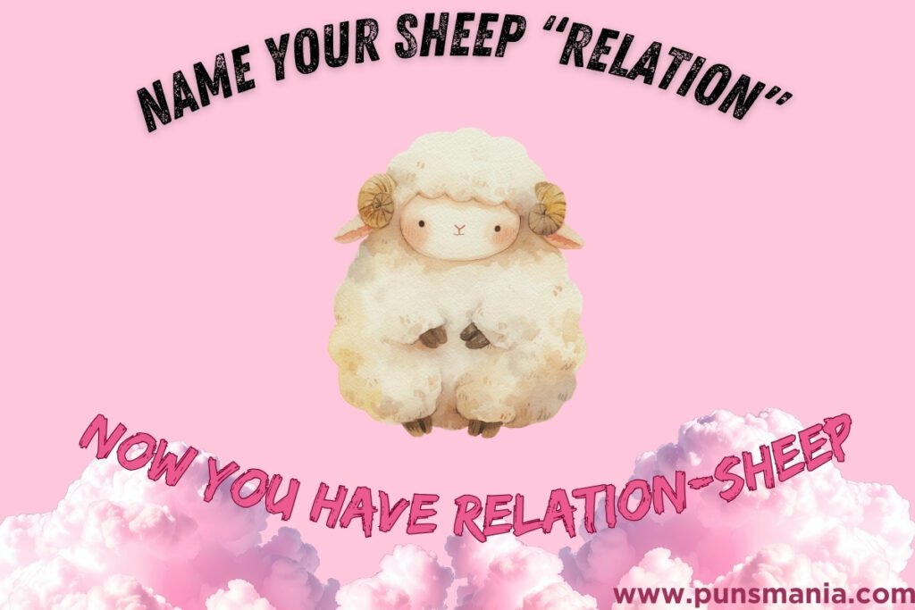 Sheep jokes