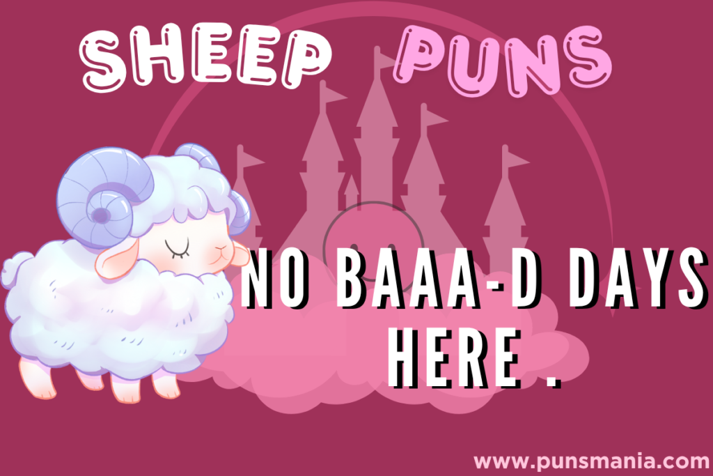 Sheep puns