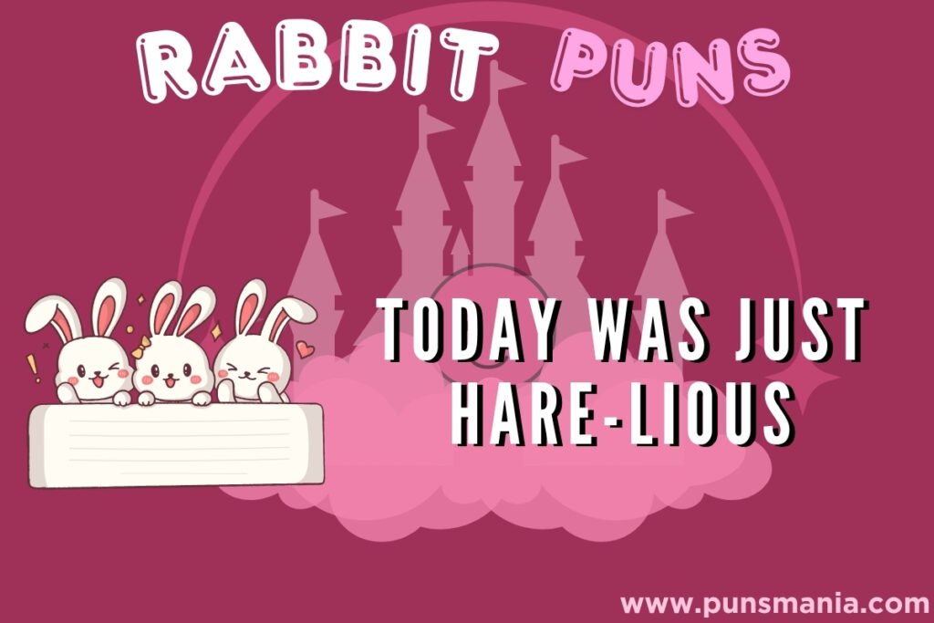 Rabbit Puns