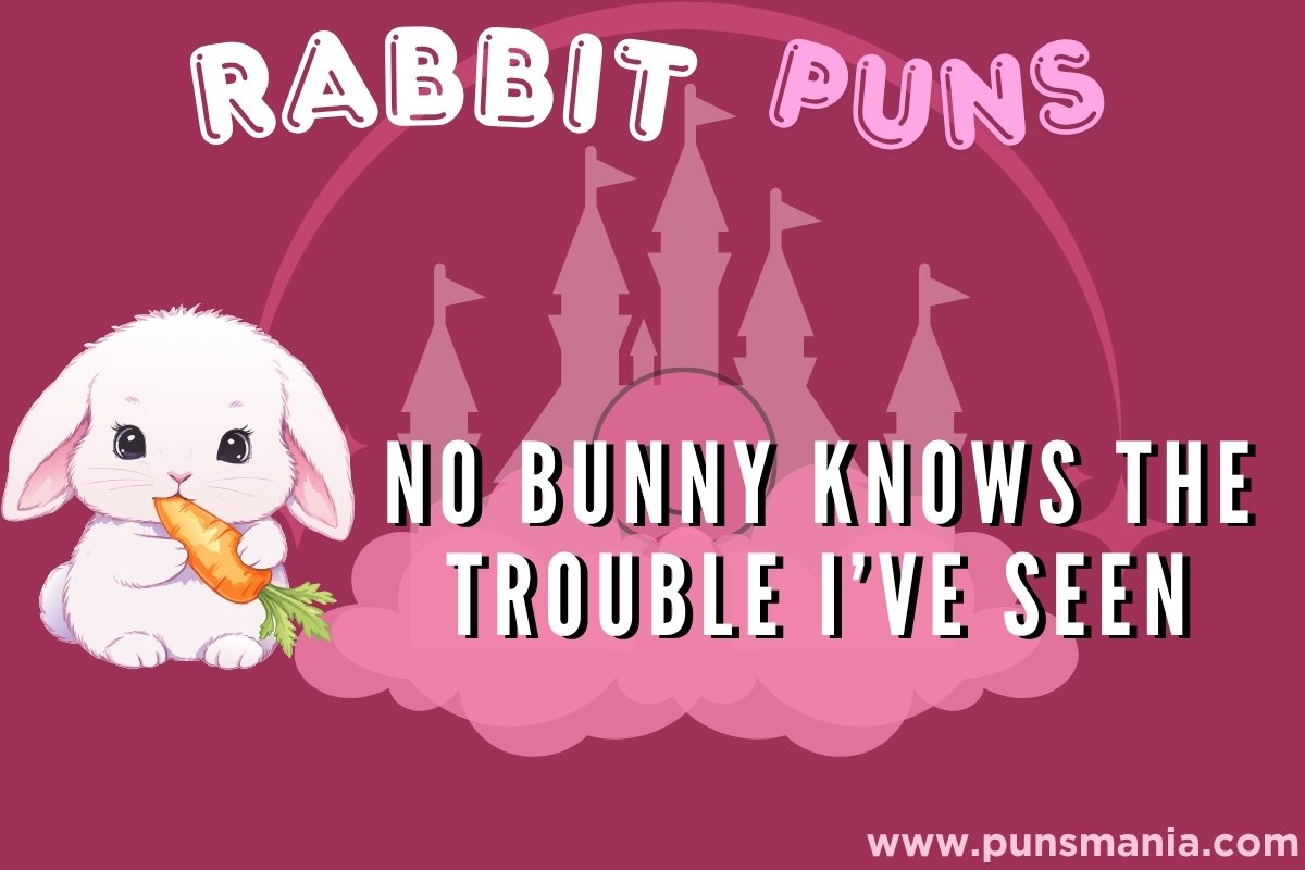 Rabbit puns