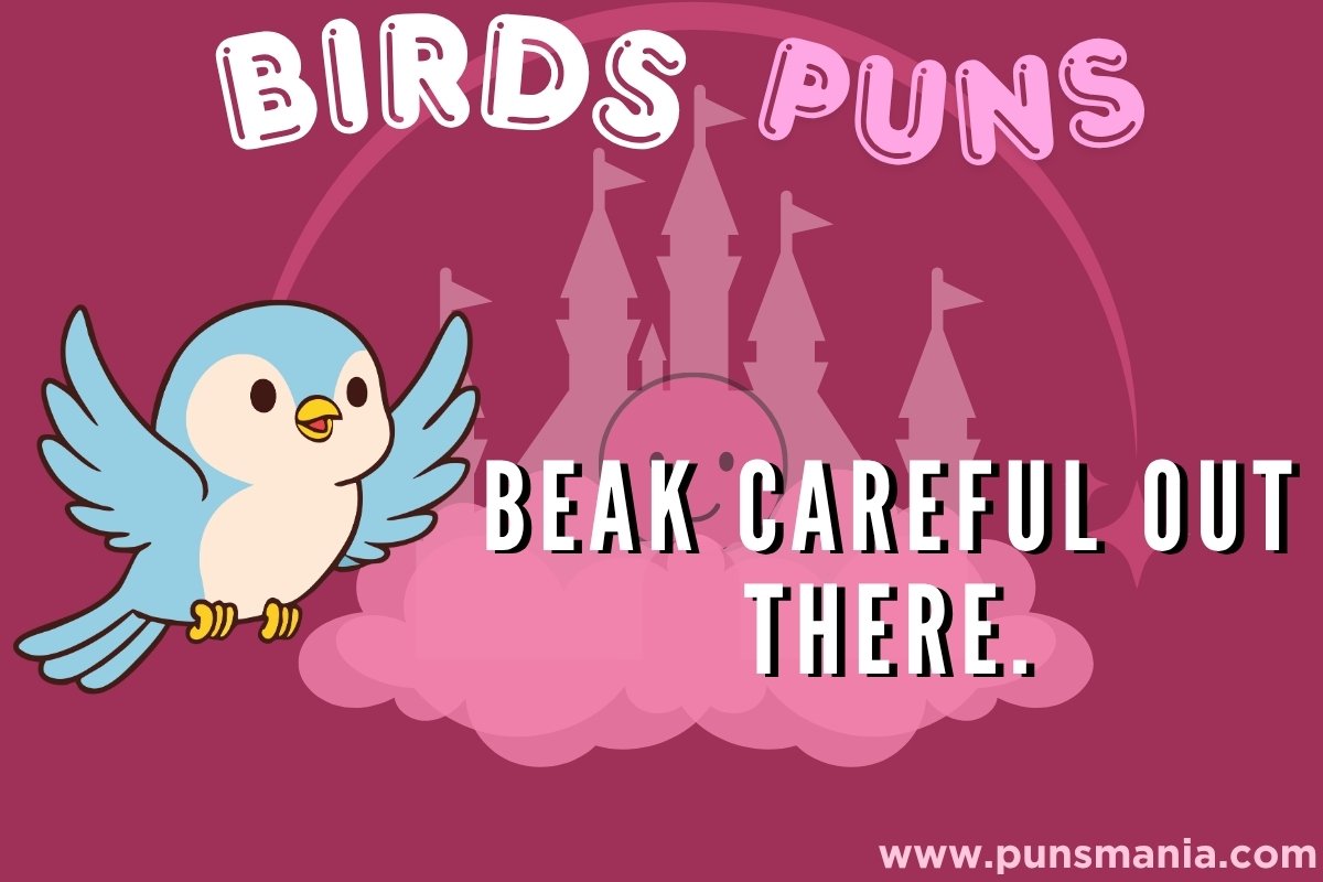 Bird Jokes
