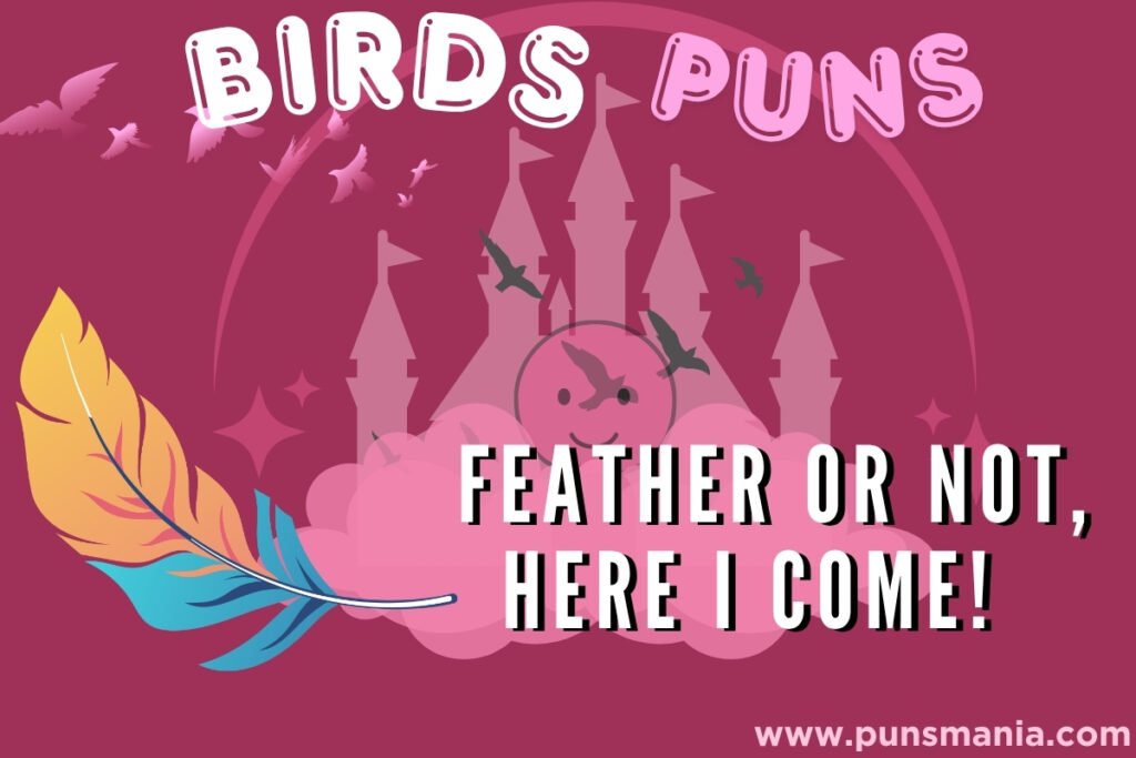 Bird feather Jokes
