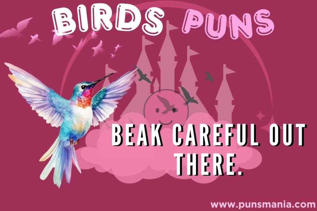 _Bird one liner Jokes 