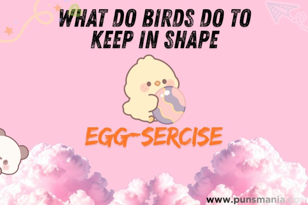 Birds jokes