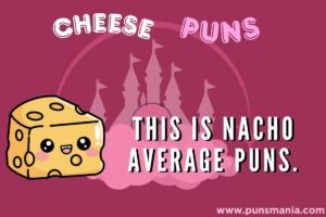 Cheese Puns