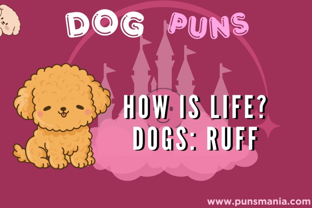 Dog Puns one liner