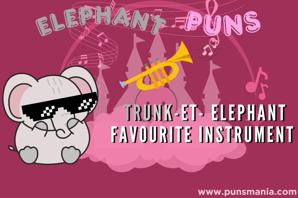 Elephant Jokes