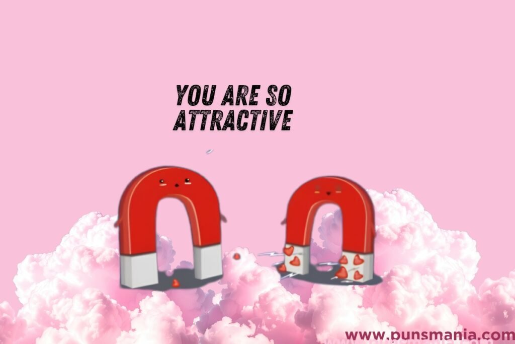Magnet Puns & Jokes