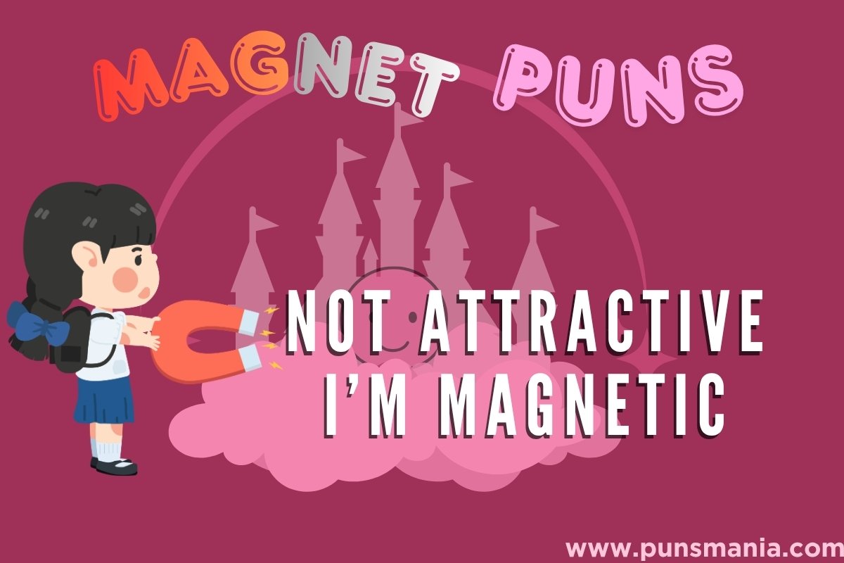 Magnet Puns