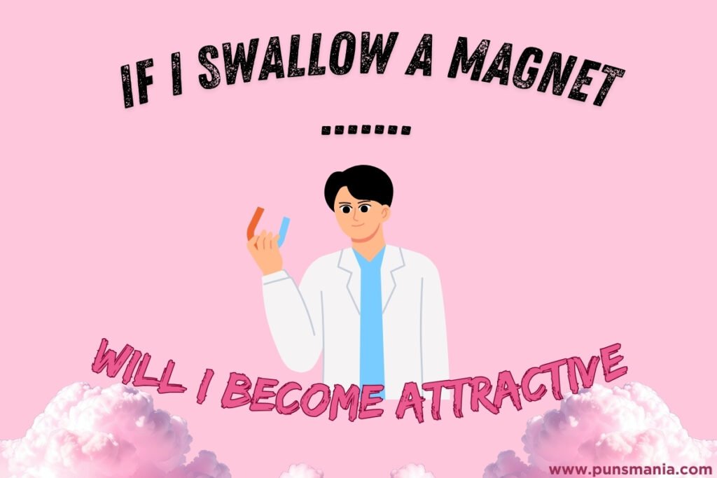 Magnet joke