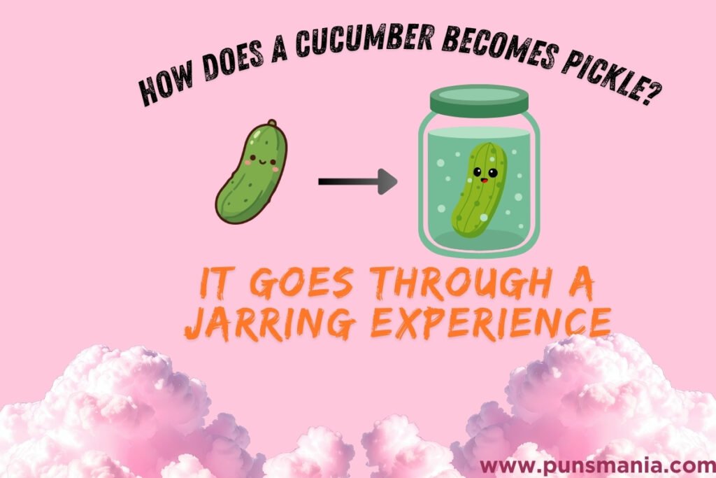 Pickle jokes 