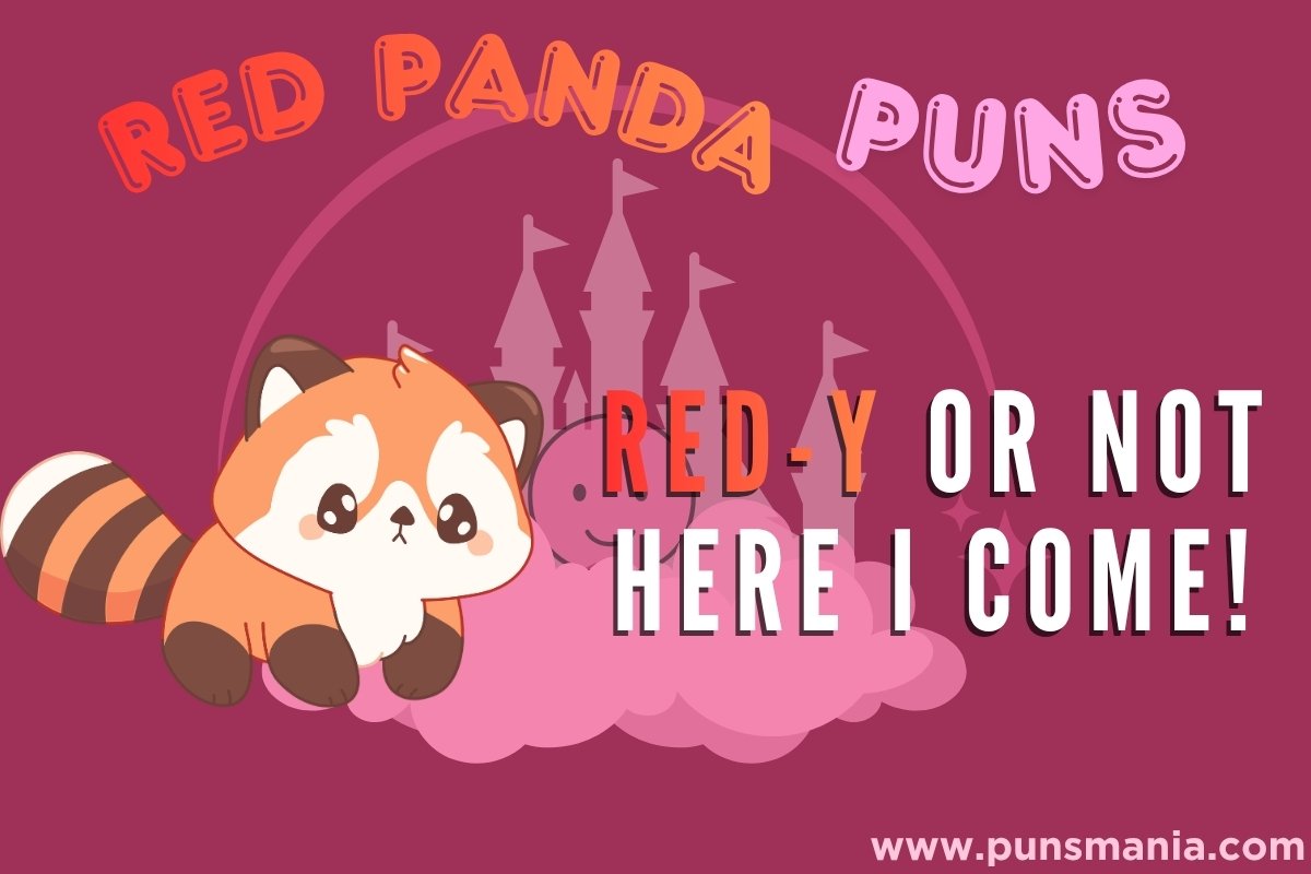 Red Panda Puns