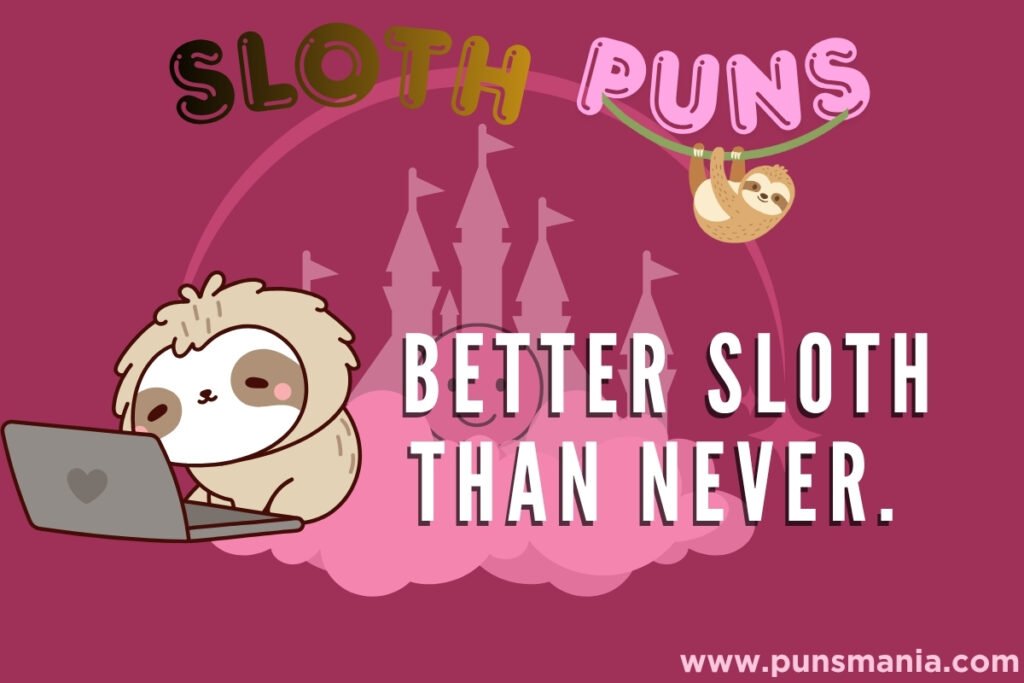 Sloth Jokes & Puns