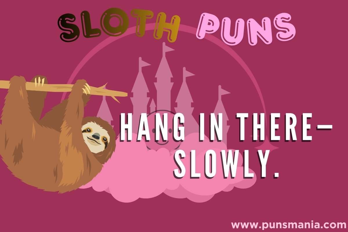 Sloth Jokes