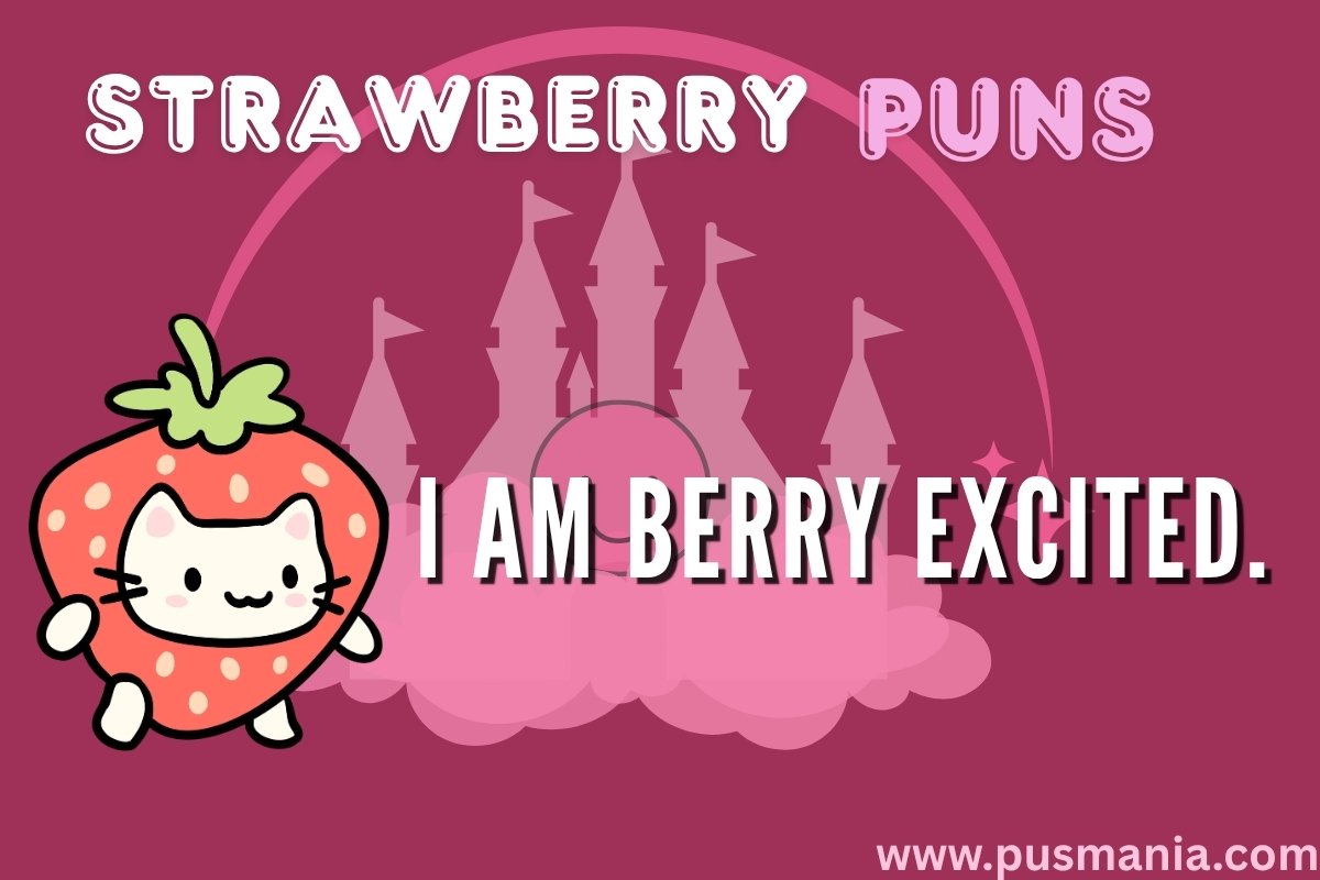 Strawberry Puns