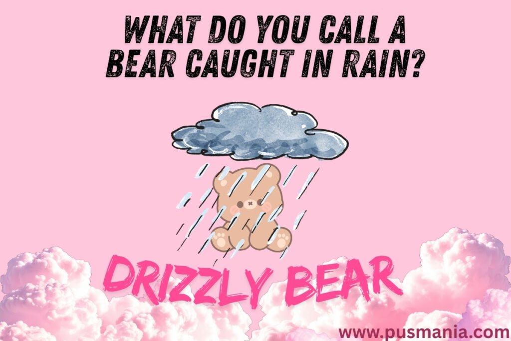 Bear jokes