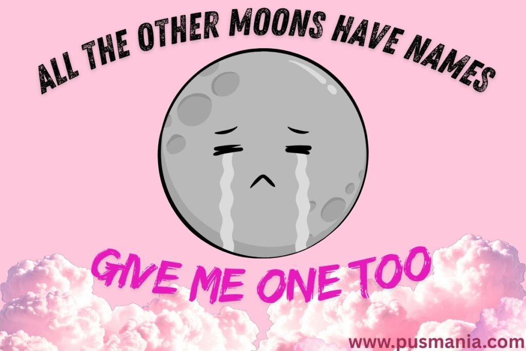 Moon jokes