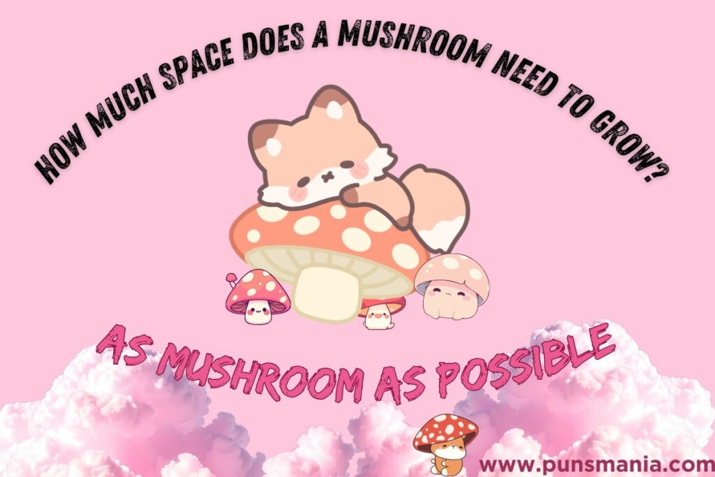 Mushroom jokes