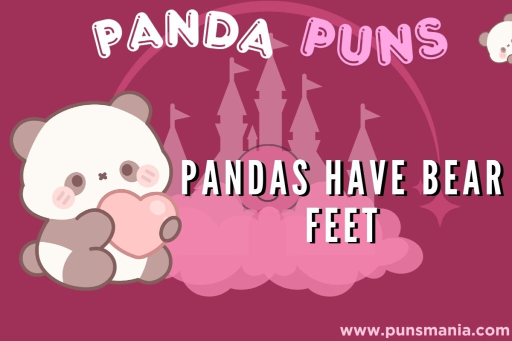 Panda Jokes