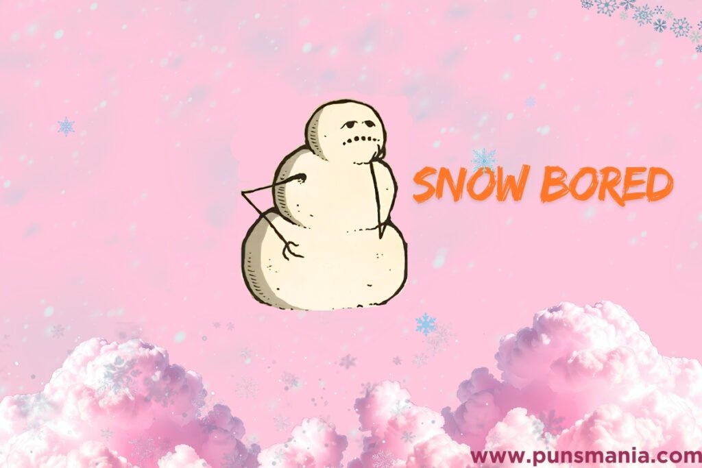 Snow Jokes