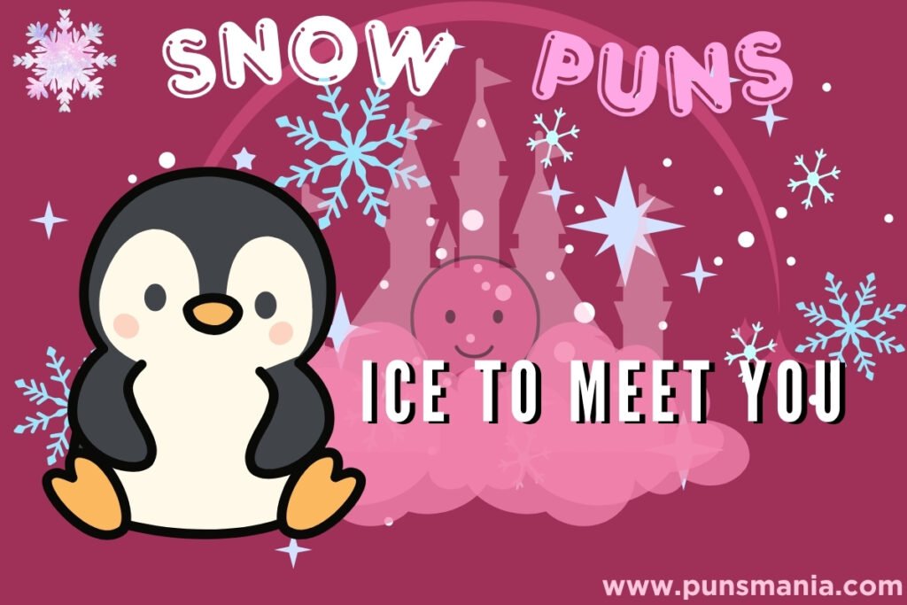 Snow Jokes 