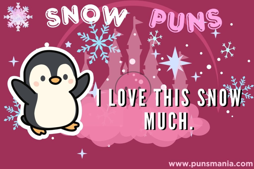 Snow Jokes
