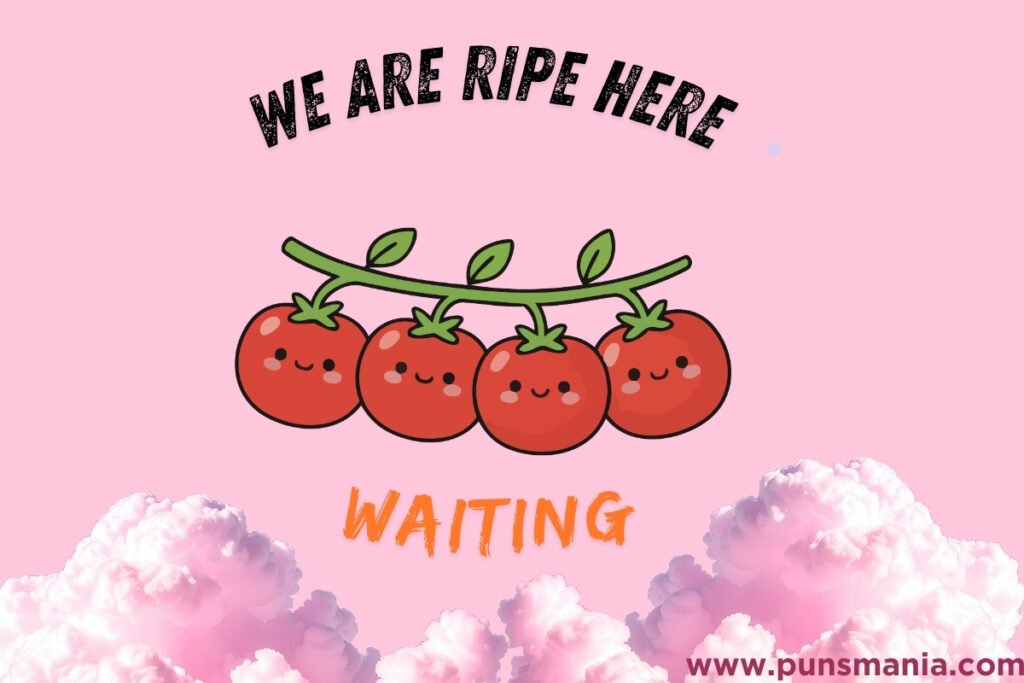 Tomatoes Jokes
