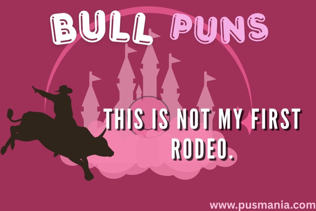 Bull Jokes