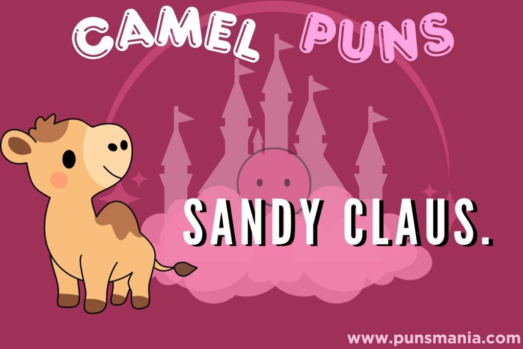 Camel Puns