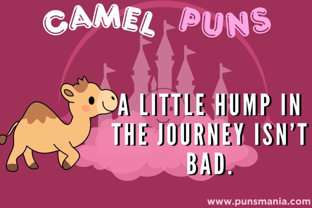 Camel Puns