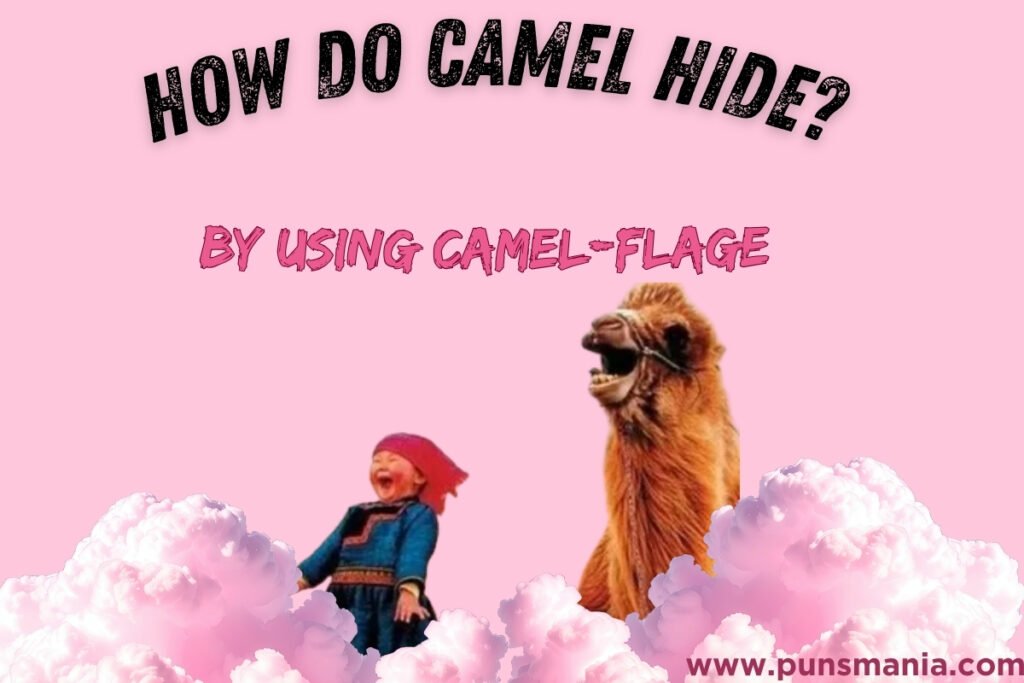 Camel jokes