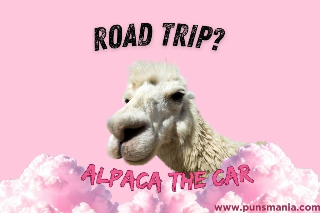 Car Jokes