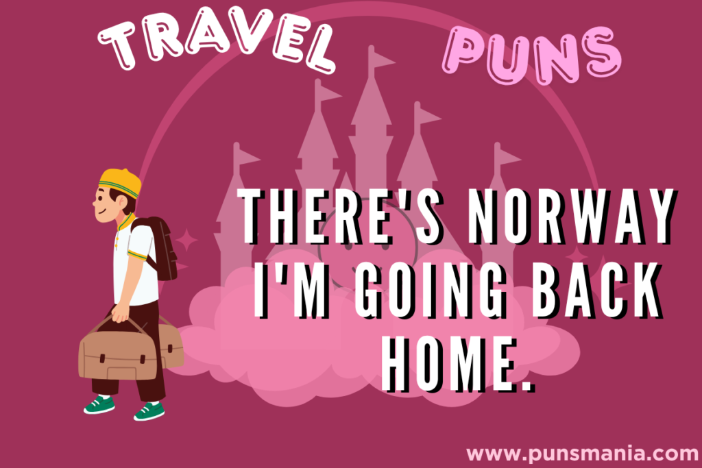 Travel Puns