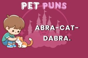 CAT puns