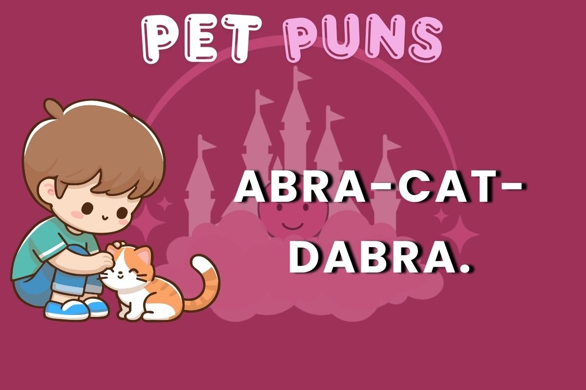 CAT puns
