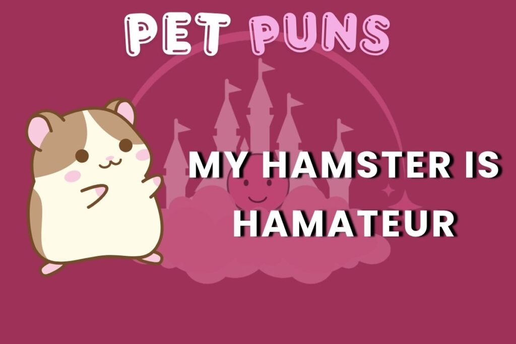 hamster puns